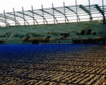 276_8_image