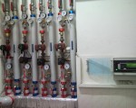 pawal4